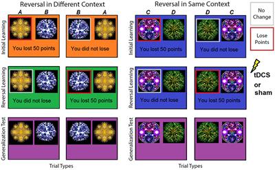 Transcranial direct current stimulation impairs updating of avoidance-based associative learning